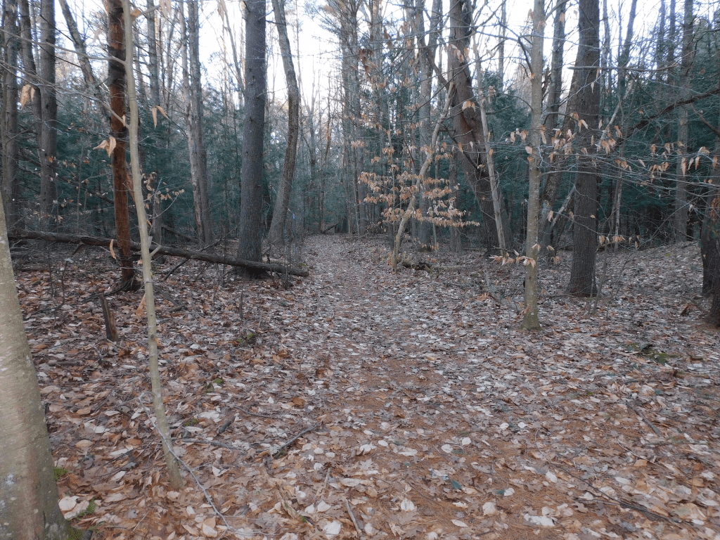 This image has an empty alt attribute; its file name is image-5.png